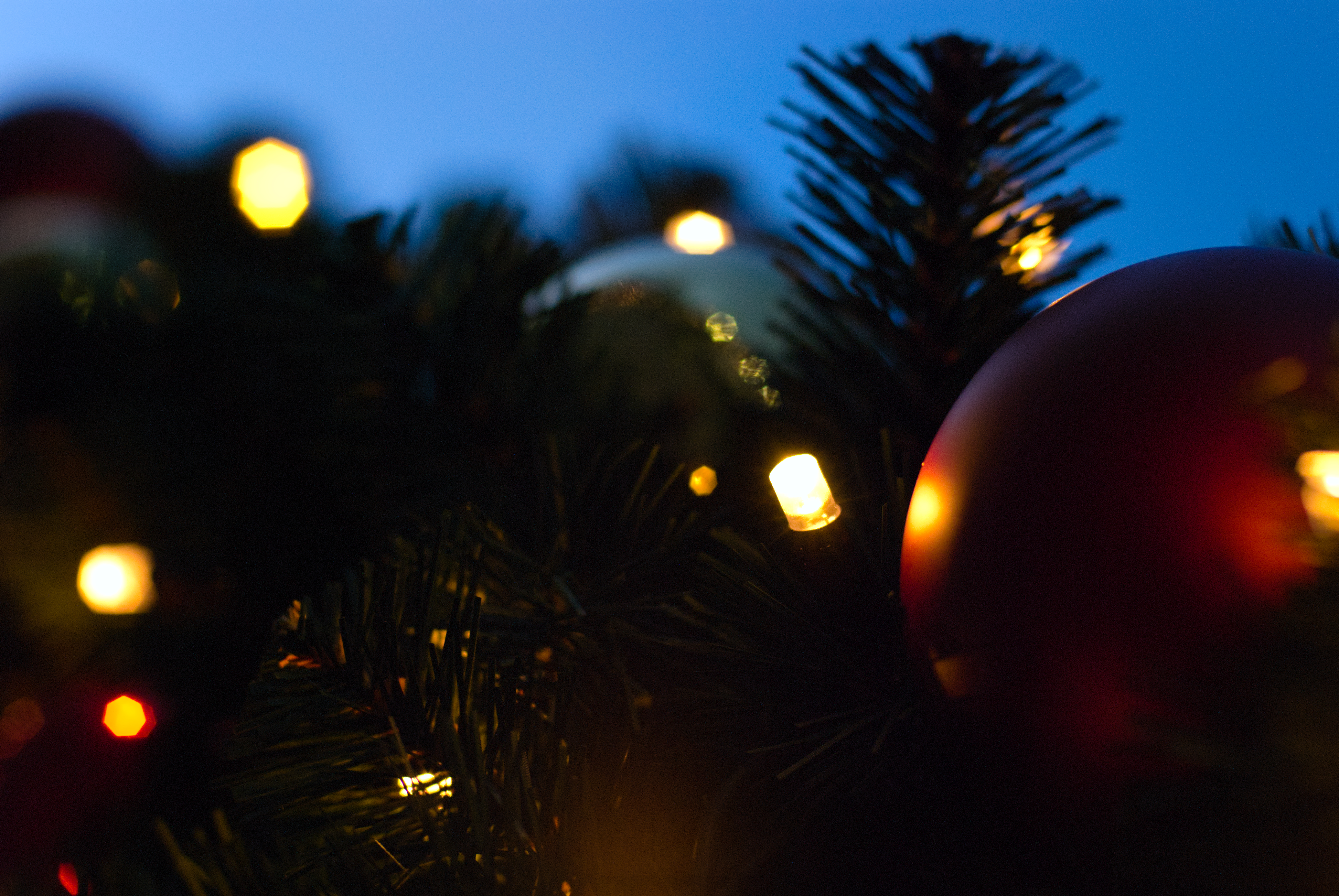 a close up of a tree with christmas-y decorations in it: some silver and red balls with matte or reflective coatings and some string lights are visible, hung up and wrapped around the tree's branches. most of the picture is out of focus, except for a ball with a matte red coating, one of the string lights, and two of the branches.