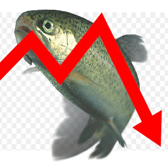 badfortrout
