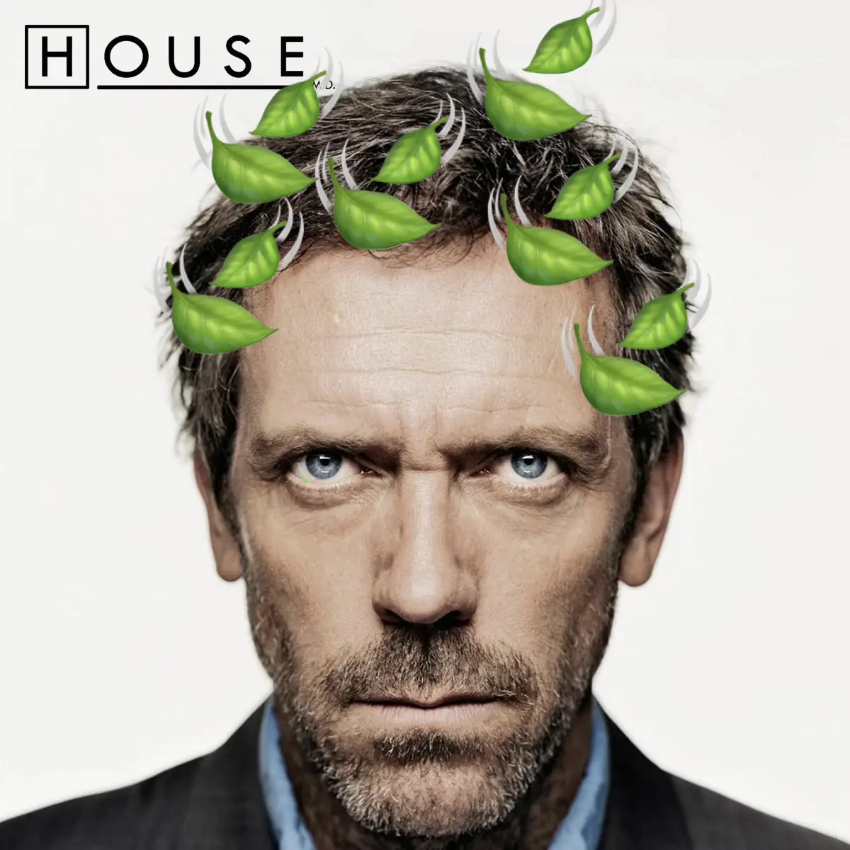 a House, M.D. poster with hugh laurie staring into the camera. a bunch of falling leaf emoji have been added to his head.