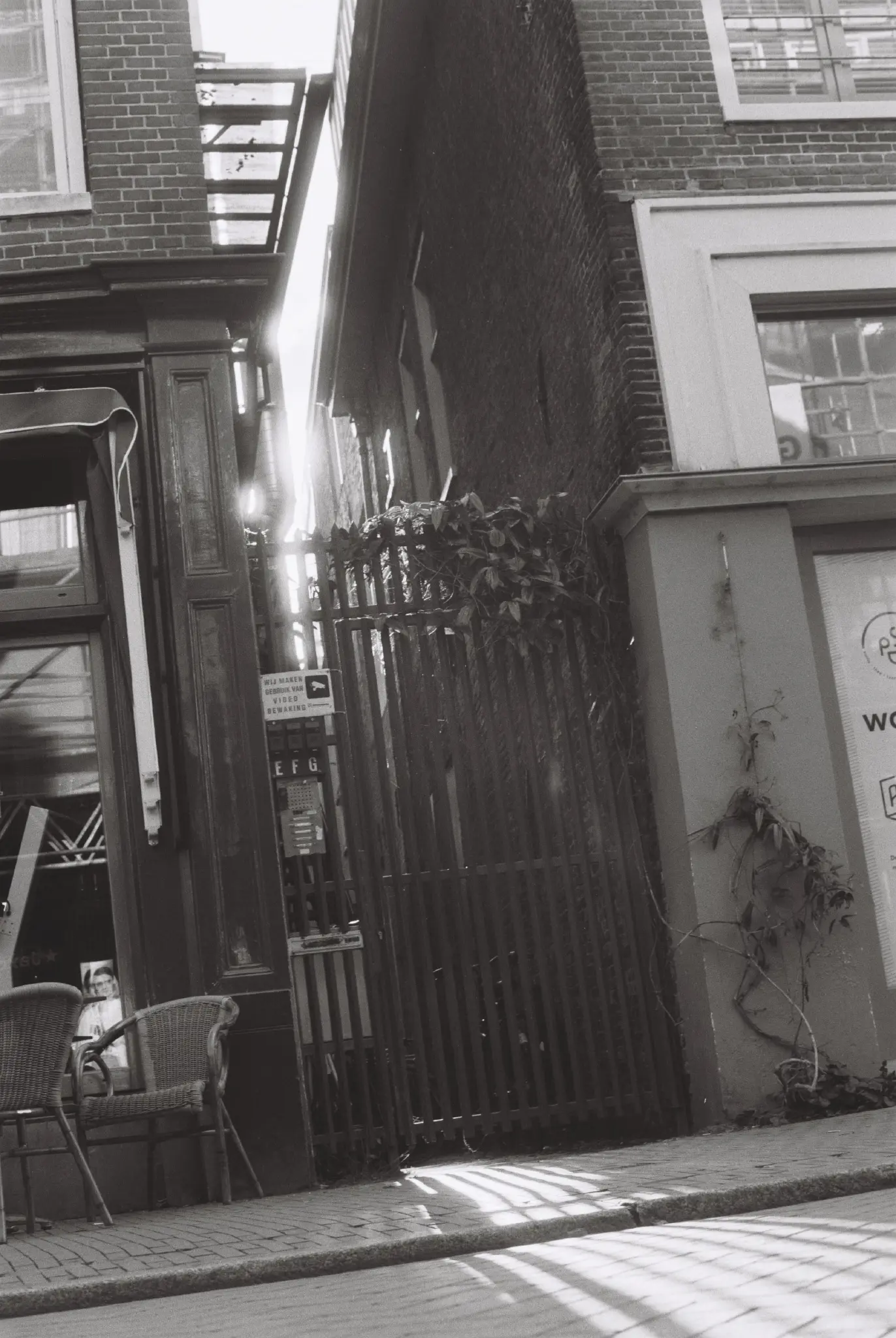 the entrance to an alleyway on a dutch street. 
its tall gate is slightly overgrown by an ivy-like plant, and the sun is shining through the alleyway and the gate, casting a striped shadow  onto the brick paved road. there's two chairs on the sidewalk next to the alleyway.