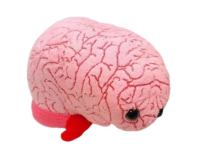 a brain plushie that looks slightly sad but very cute
