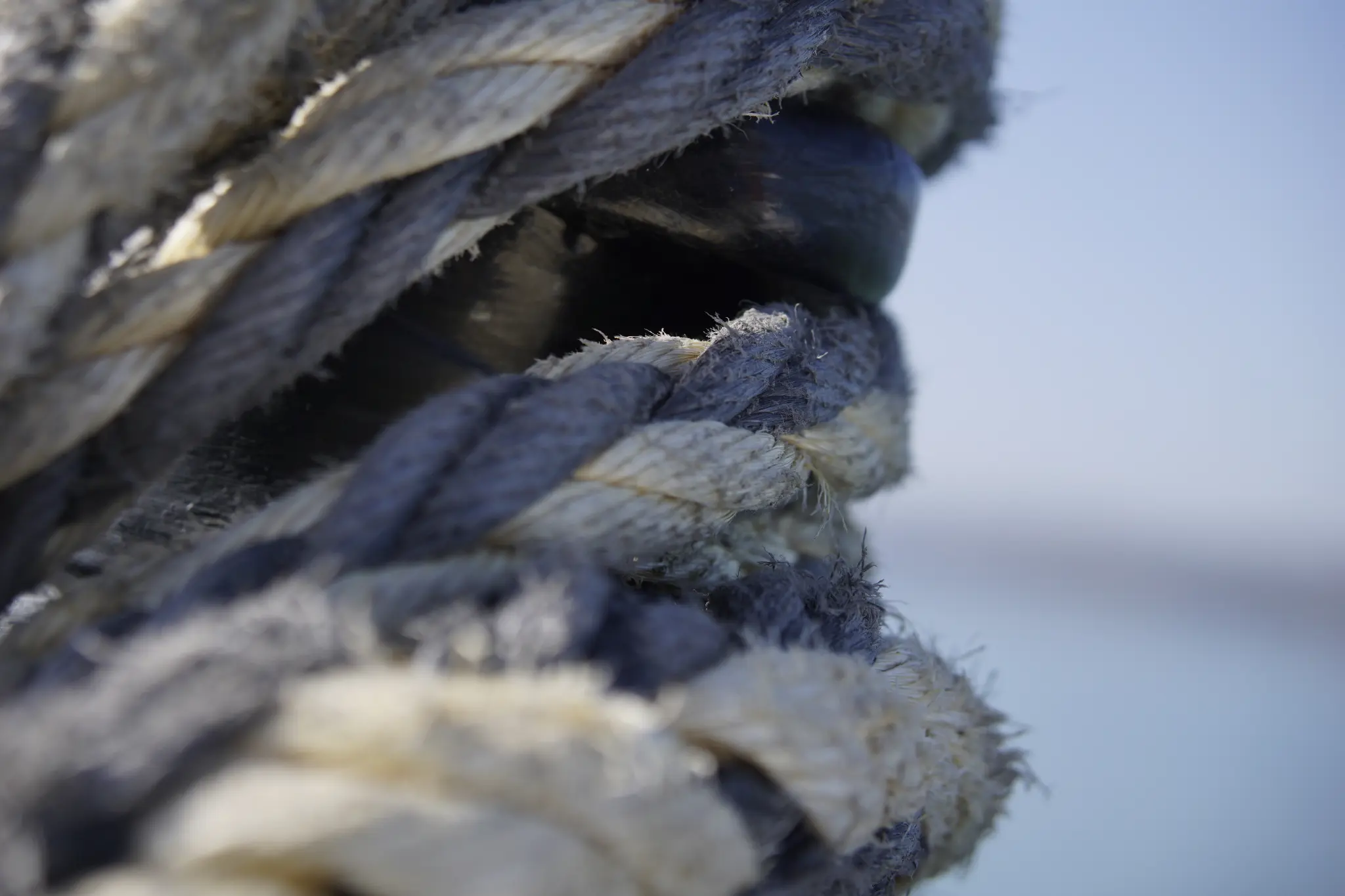 close-up of some old, worn rope from a ferry. only a small part of the fibres is in focus.