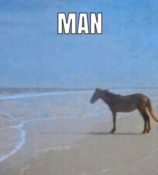 horse on a shore captioned “man”