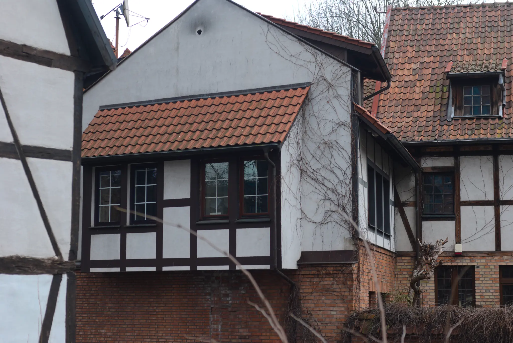 some buildings with a brick foundation, partially jettied timber framed upper floors, and red shingles on the roof. one of the buildings is overgrown by some kind of vine, tho without any leaves at the time. a satellite dish is visible in the background.