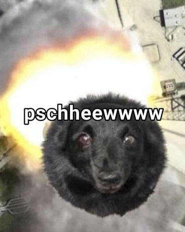 a dog photoshopped onto a rocket blast and captioned with "pscheeeewww", mimicking a rocket