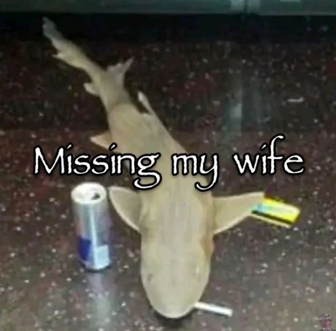 a shark with a cigarette, red bull and presumably MetroCard from NYC, with “Missing my wife”