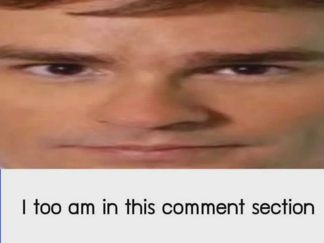 wide wilson “i too am in this comment section