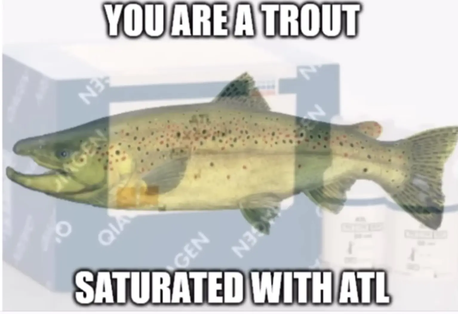 you are a trout, saturated with ATL